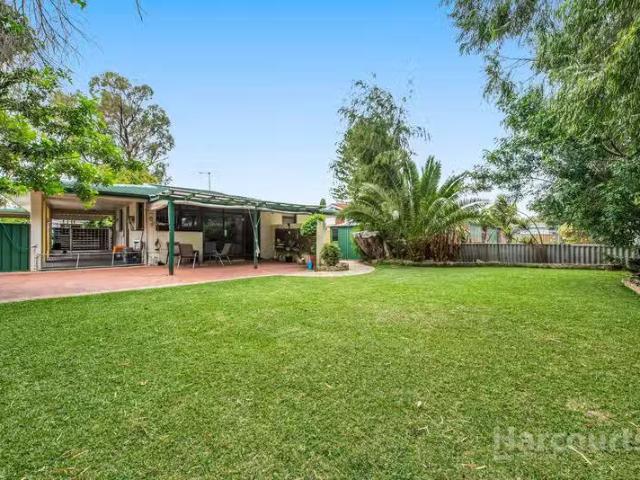 Just in! 3 BR 9 Cetus Court, ROCKINGHAM, WA 6168 House for R.