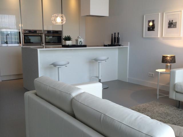 FOR RENT: AMSTELVLIETPAD