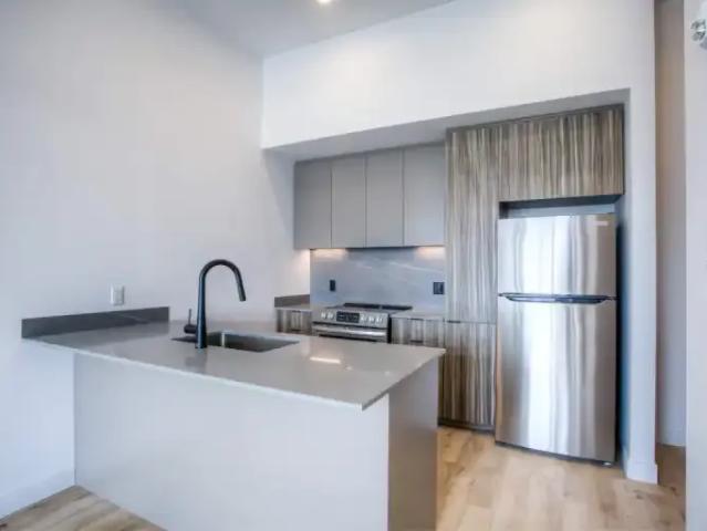 For Rent Apartment Outremont QC DS105071206