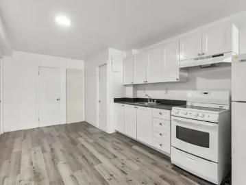 Mercier-hochelaga-maisonneuve, Montreal