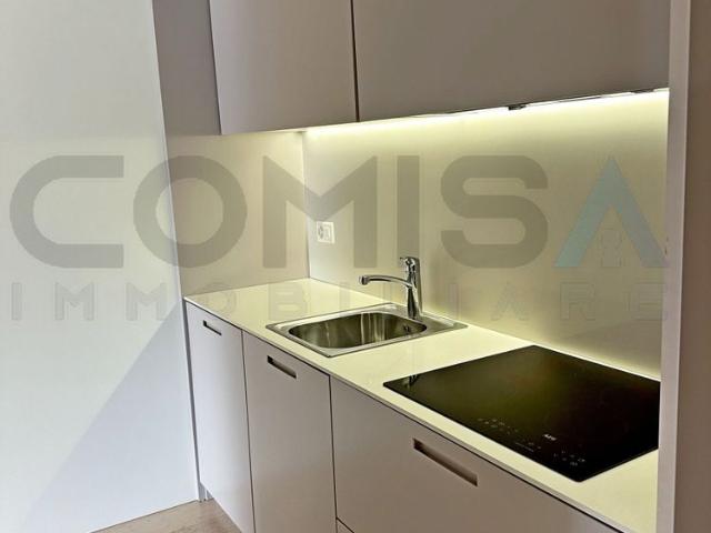 FOR RENT IN CASTAGNOLA 2 room apartment with a view of the lake