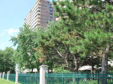 Kingsview Village-the Westway, Toronto, Ontario