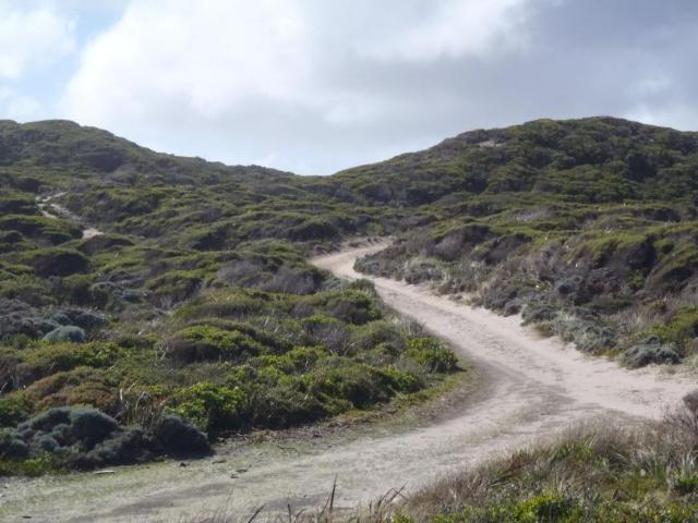 For Rent Land NUGARA TAS DS105529805