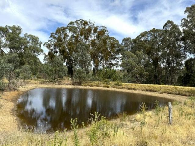 For Rent Land Neville NSW DS105936007