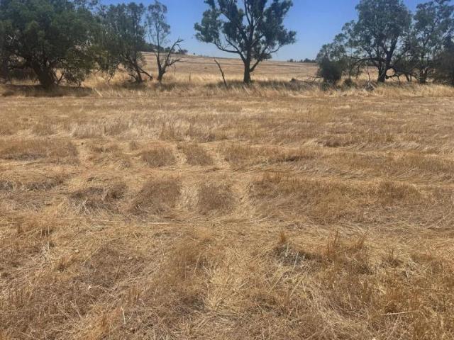 For Rent Land Northam WA DS105943974
