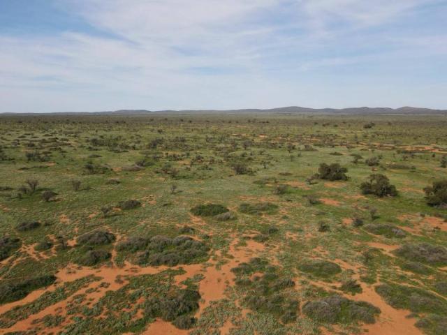 For Rent Land Orroroo SA DS101909241