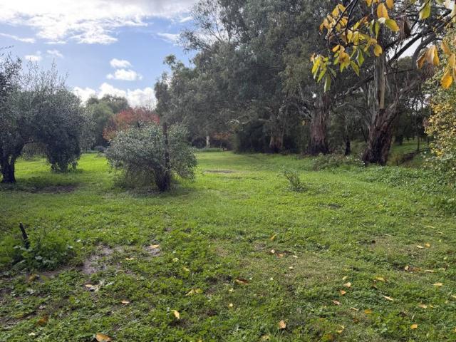 For Rent Land Auburn SA DS103326522