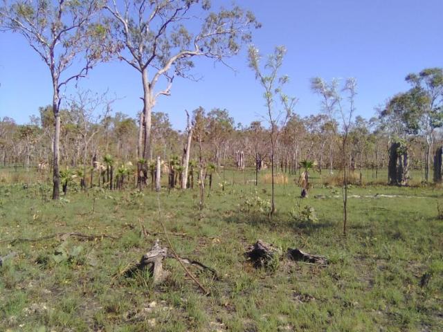 For Rent Land ADELAIDE RIVER NT DS104955488