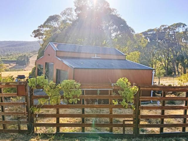 For Rent Land BATLOW NSW DS105348265