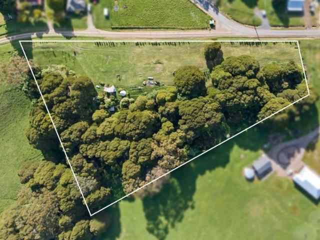 For Rent Land BEECH FOREST VIC DS104954695