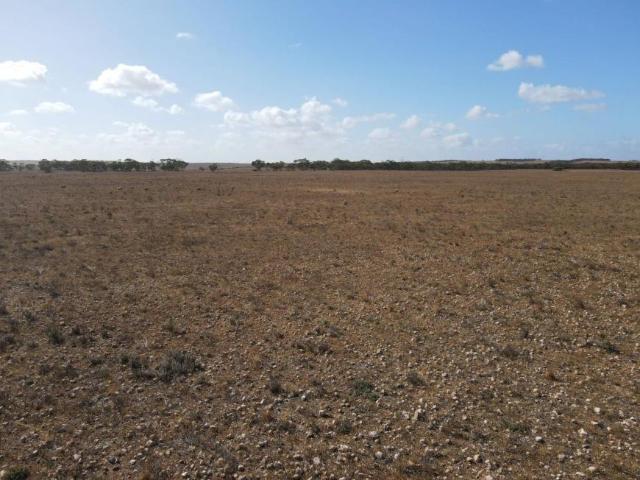 For Rent Land Black Hill SA DS101909462