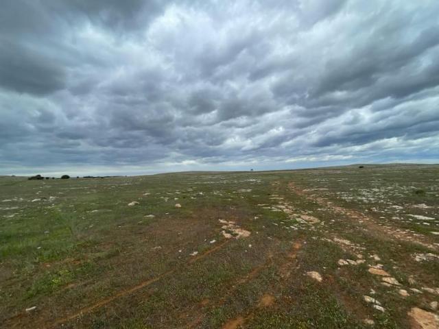 For Rent Land Bramfield SA DS105936676