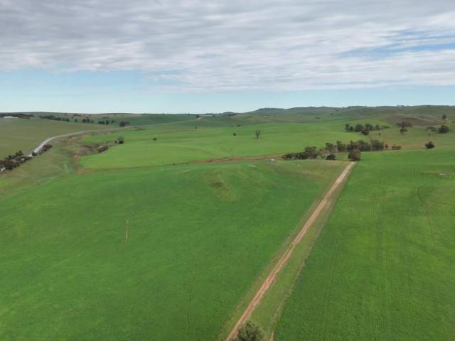 For Rent Land Broughton River Valley SA DS105865192