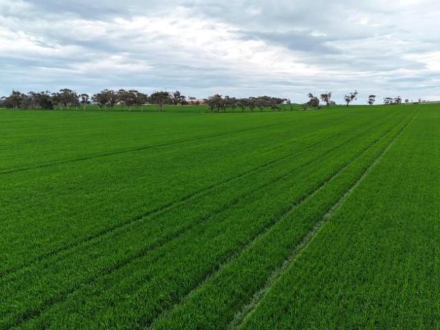For Rent Land Gladstone SA DS104960907