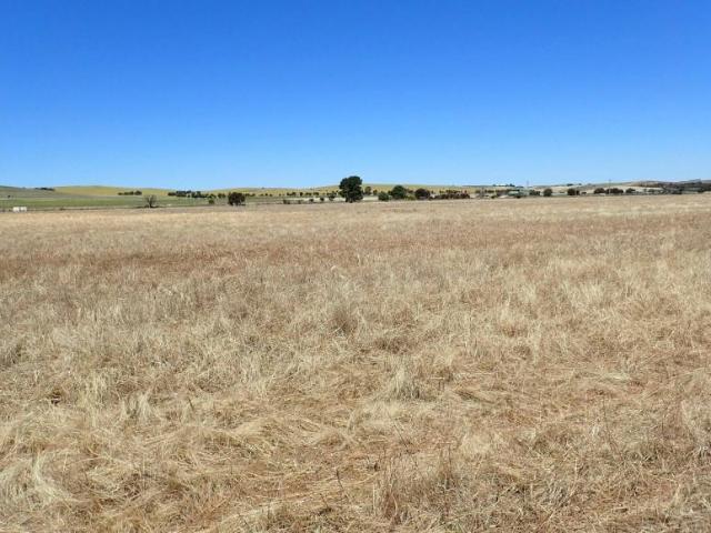For Rent Land Jamestown SA DS101909457