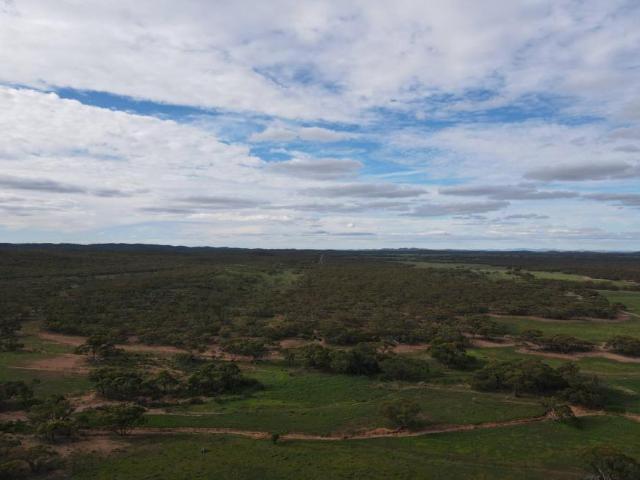 For Rent Land Parnaroo SA DLS102525061