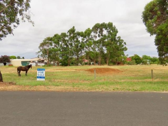 For Rent Land Penola SA DS101909259