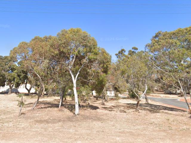 For Rent Land PINGELLY WA DS105811753
