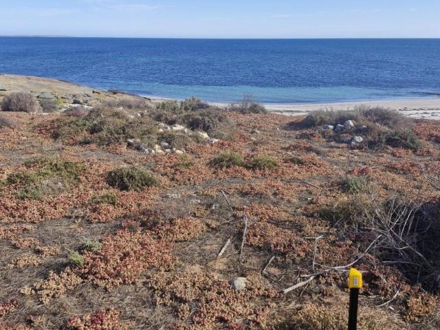 For Rent Land PORT LINCOLN SA DS104951759