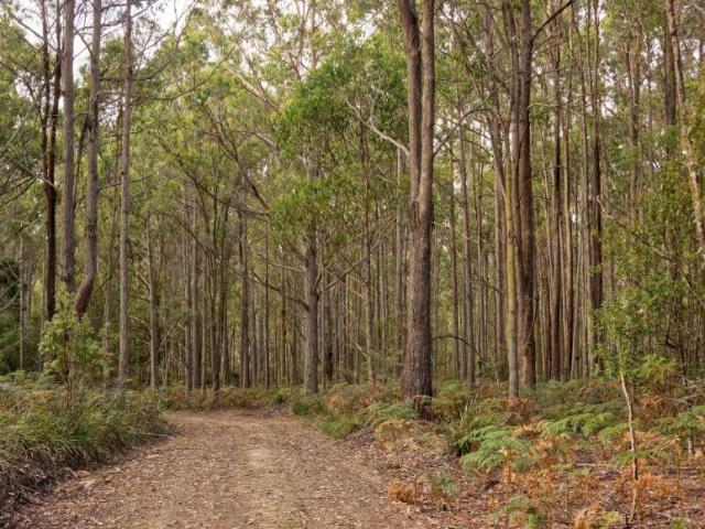 For Rent Land REEDY MARSH TAS DS104953482