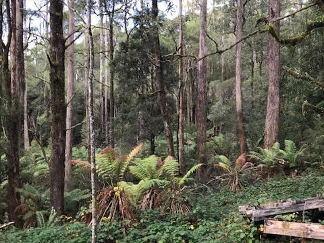 For Rent Land ROSEBERY TAS DS104954198