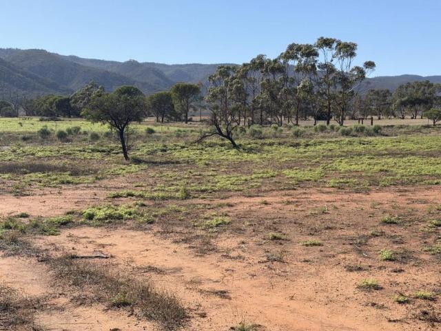 For Rent Land Telowie SA DS102275752