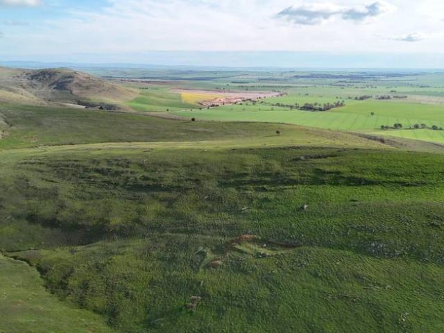 For Rent Land West Bundaleer SA DS105865213
