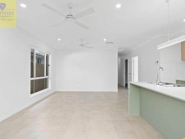 For Rent: Spacious 4 Bedroom Brand New Home in Park Ridge