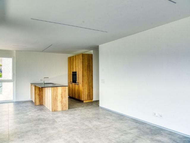 FOR RENT Splendid new 3½ room apartment in the heart of the vineyards