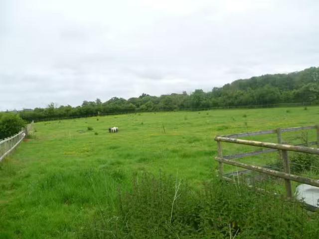 Charming Studio flat for rent in The Old Stables, Alford, BA7