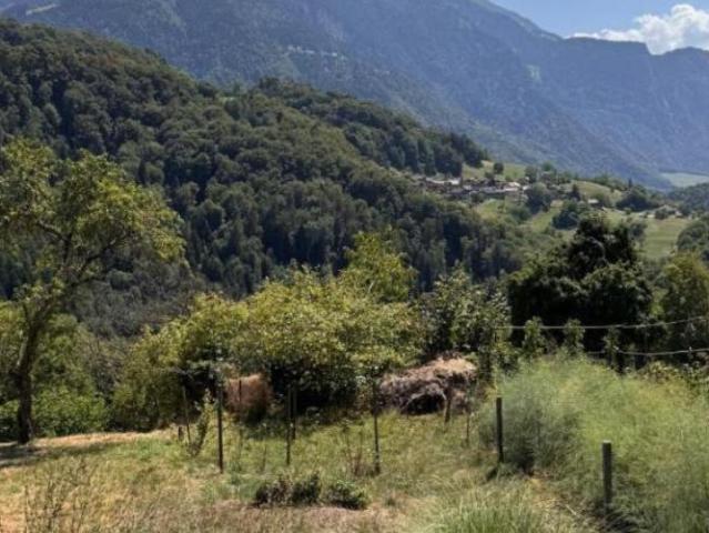 Forchex 14 Maison de 6.5 pièces à louer à l'année