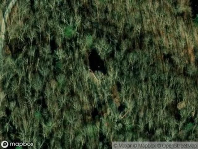 Forestview Dr
