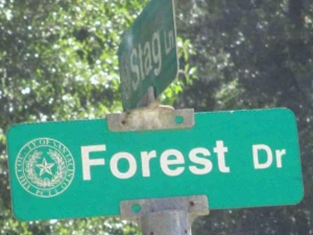 Forest Dr