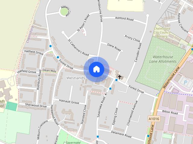 Forest Drive, Chelmsford