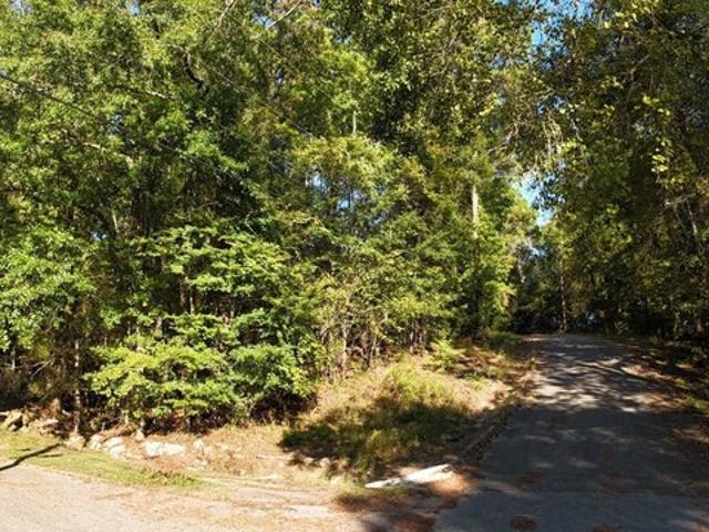 Forest Pass, Jackson, AL 36545