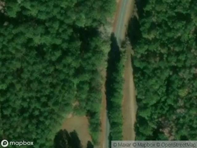 Forest Rd