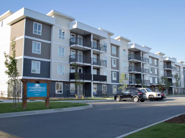 Forest Ridge Apartments Two Bedroom One Bath Apartment for Rent