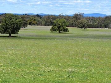 FOREST VIEW, Great mixed farming opportunity