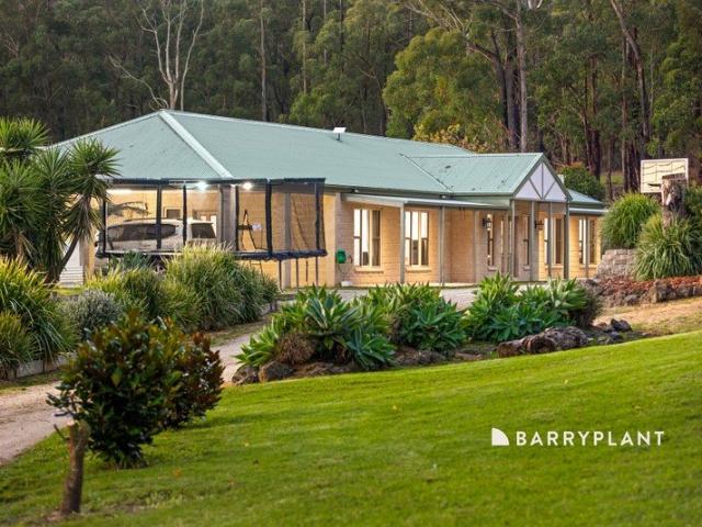 Forest Views, Open Space & Endless Possibilities By appointment only