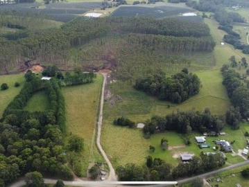 Forestry, Cattle & Lifestyle