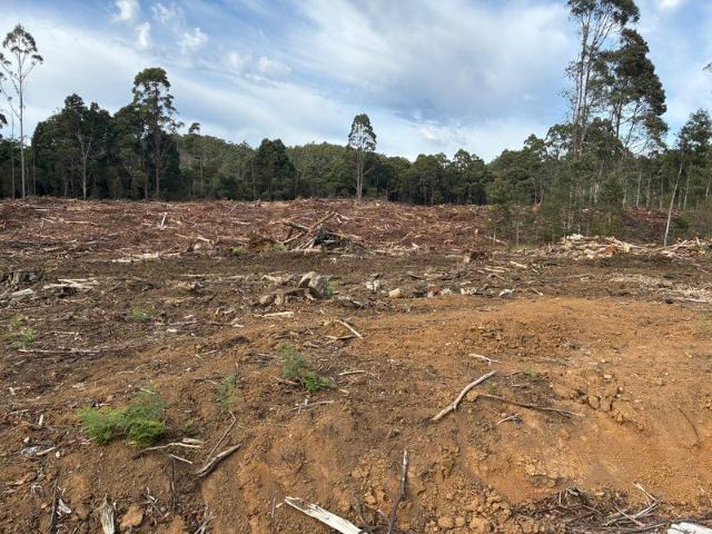 Forestry Opportunity Woodhouse Road