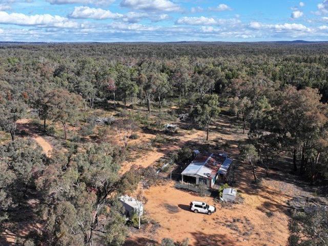 Forget the World,Ideal Bush Getaway