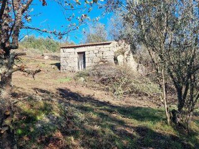 Fornos De Algodres Guarda 103393076