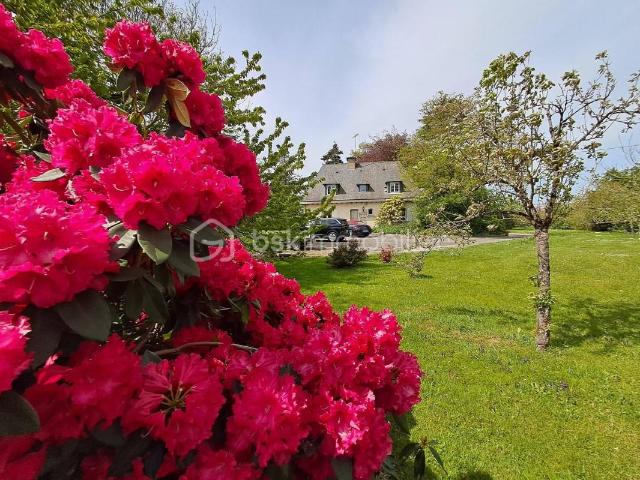 Luitré Vente Maison 35