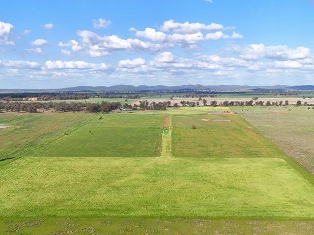 Foundations of a Superb Rural Lifestyle Property with Equine Facilities