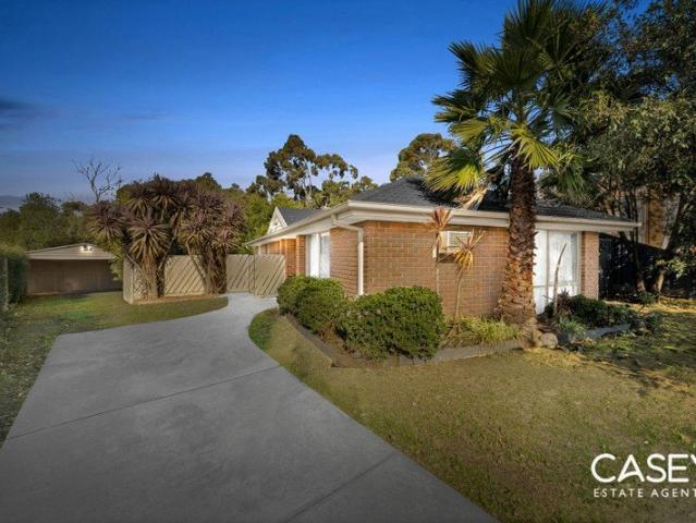 Four Bedroom Home with Massive Potential