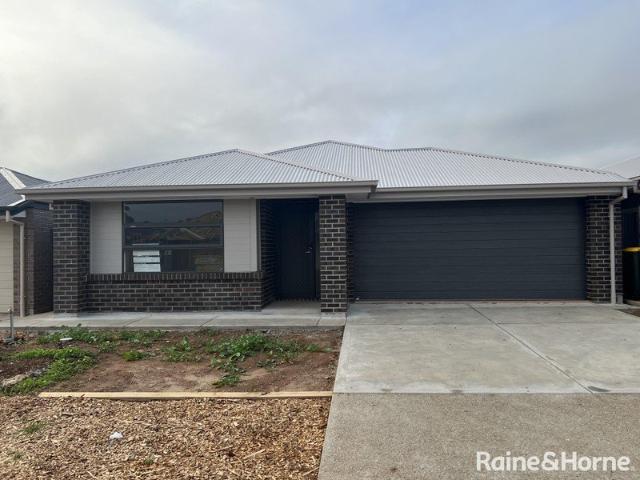 Four bedroom Home in Blakeview!