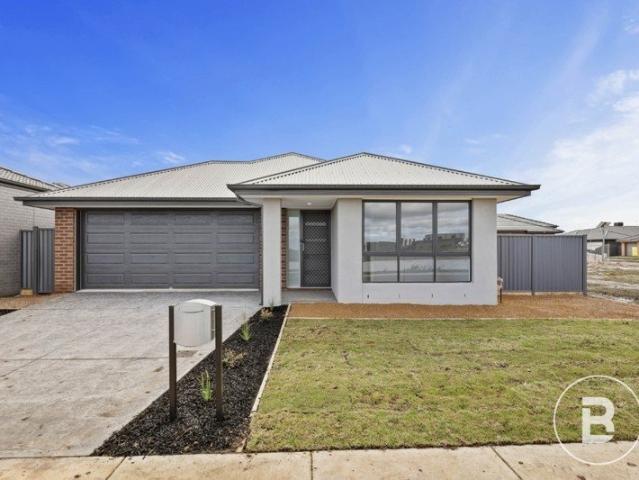 FOUR BEDROOM HOME IN POPULAR ALFREDTON LOCATION