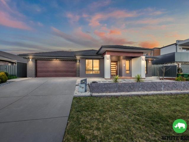Four Bedroom + Study Home with Side Access!