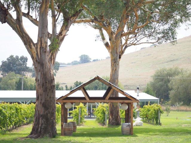 Four Winds Vineyard Jimmy Watson Winner Highly Profitable Going Concern